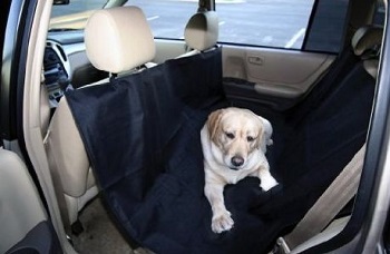 Dog hammock